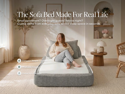 Sleeper Sofa / Sleeper Chair / Ash