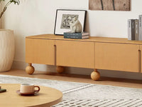 Theo TV Unit