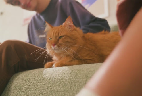 Snuggle Feature Washable